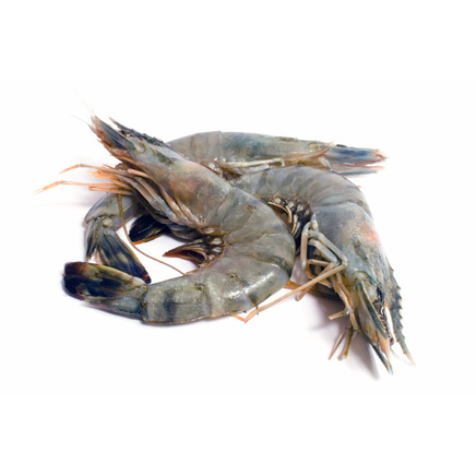 Sea prawn (80 count)